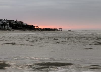March Winds At Home and On The Beach…