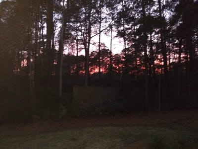 Light at the end of the tunnel...