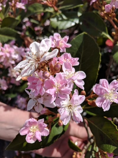 Two of "those days"...