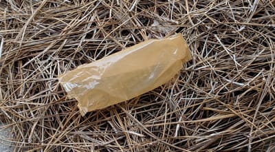 Do I See What I Think I See?