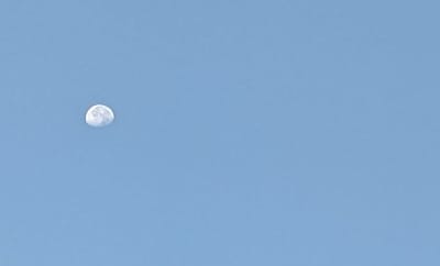 "Look at the Ball, Not the Moon"