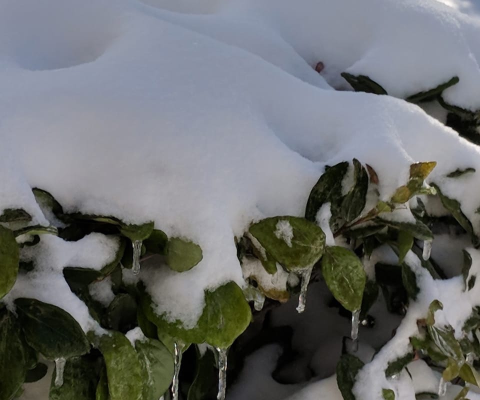 Golf carts and sleds.....