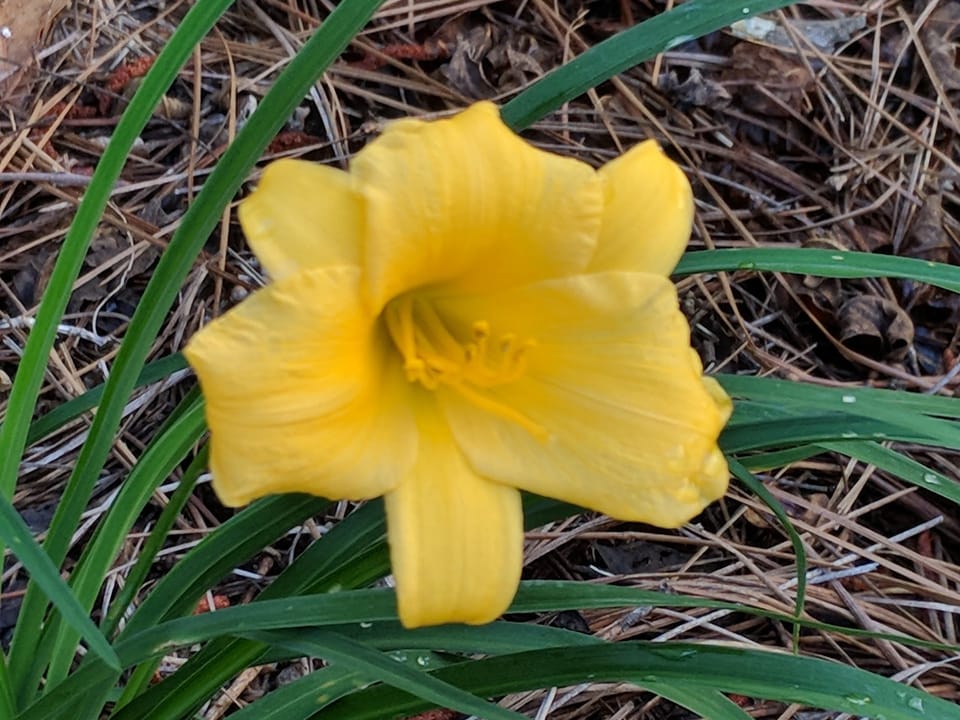 When the exercise wristband was wrong...