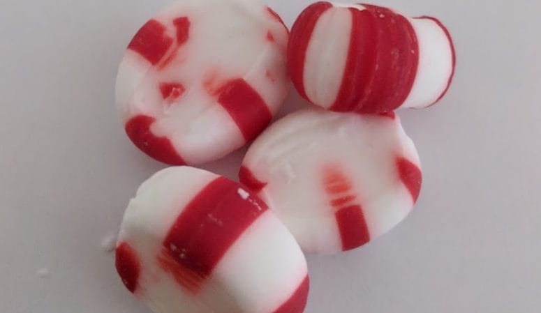 Peppermint Dust Giggles