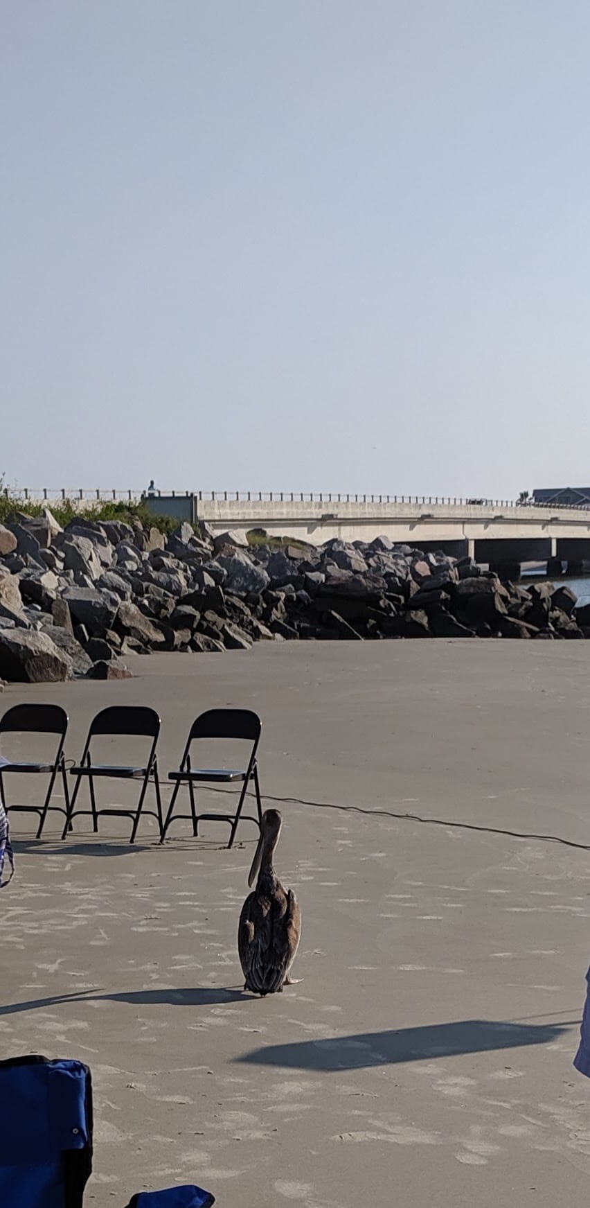 Unexpected and Unwanted Guests...Blessings in Disguise