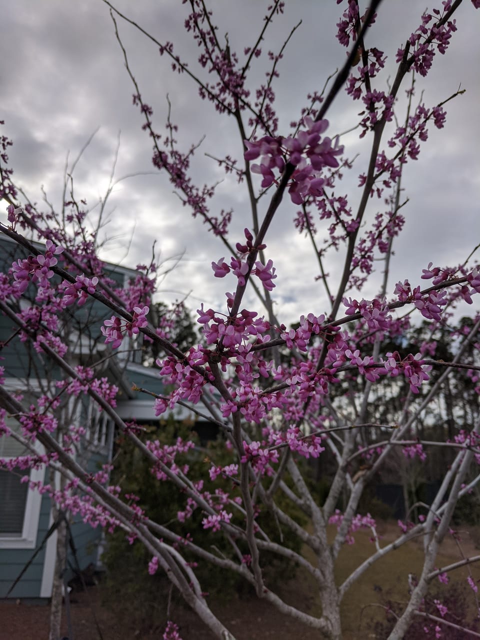 "Mimi...do you see that?