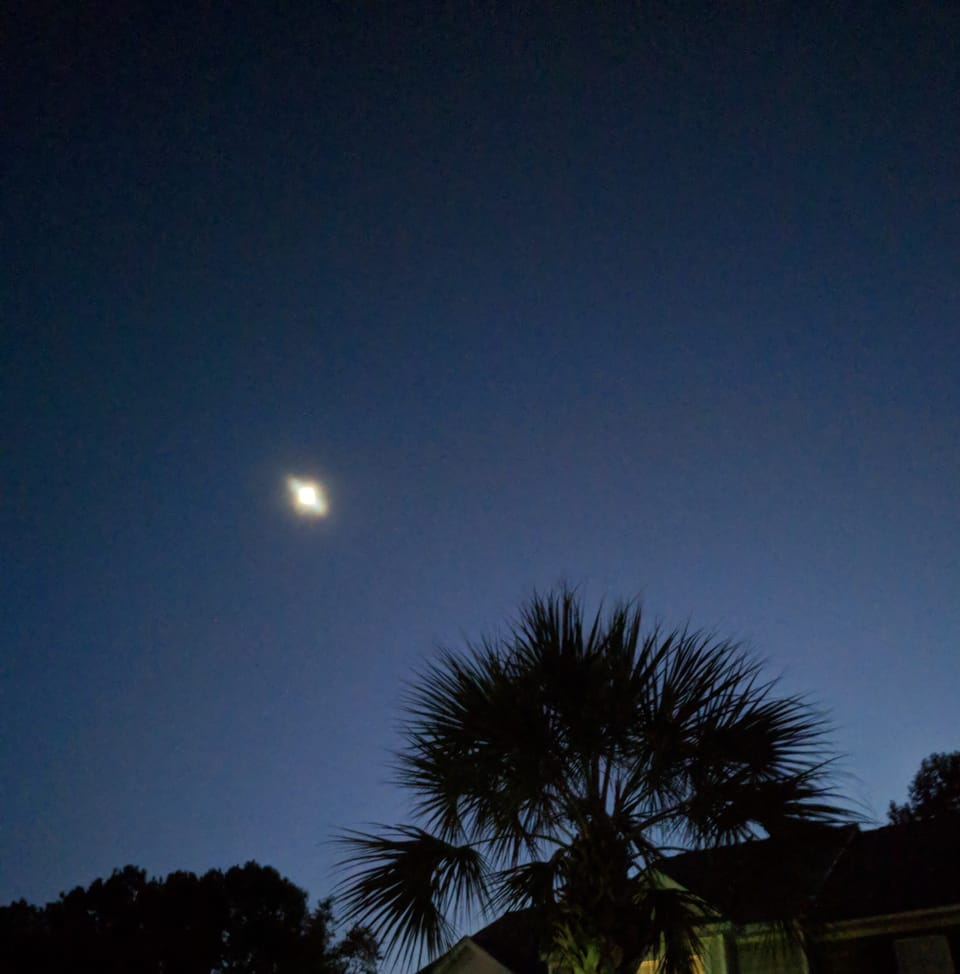 The Leaning Bed of Henderson