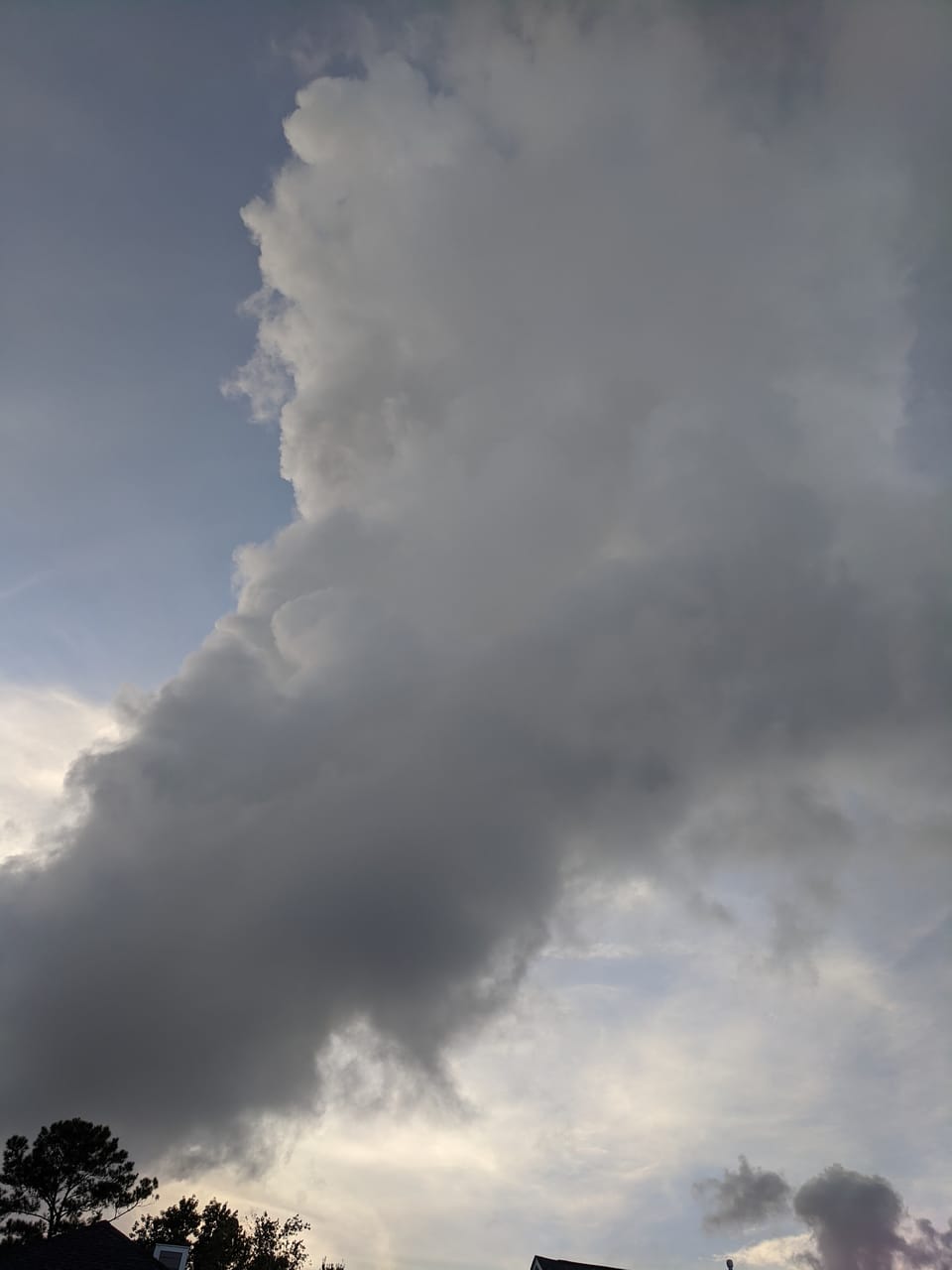 Alert and Ready to Act