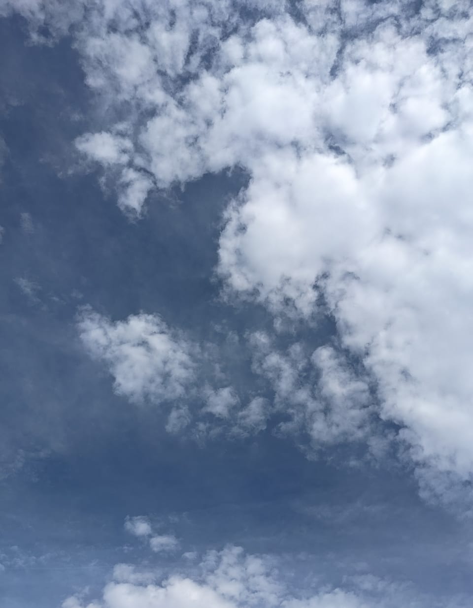 Creepy Crabs on A Hot Summer Day