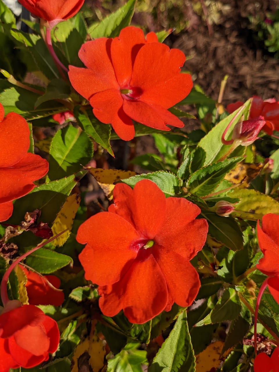 Birthday Lunch...Wrong Car
