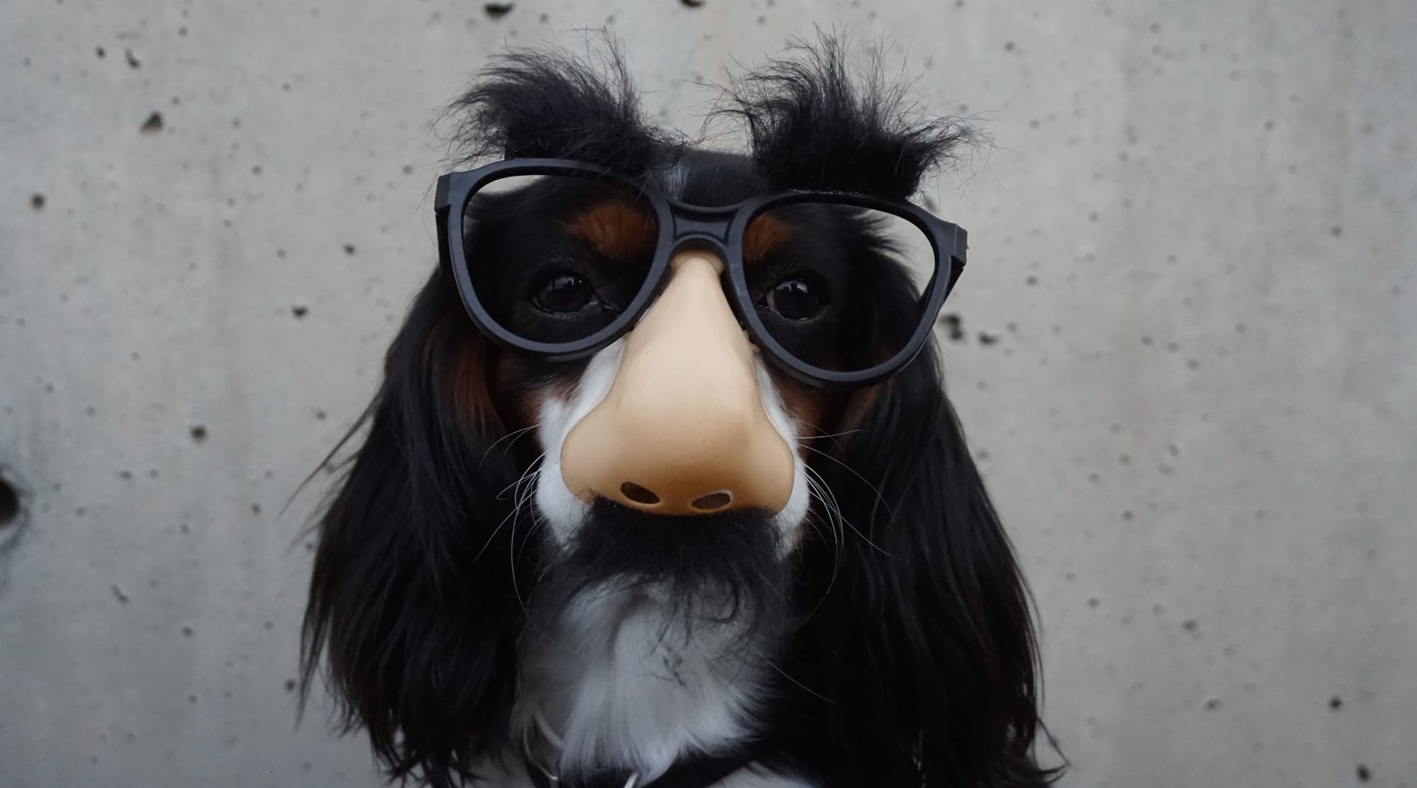 photo-1466921583968-f07aa80c526e