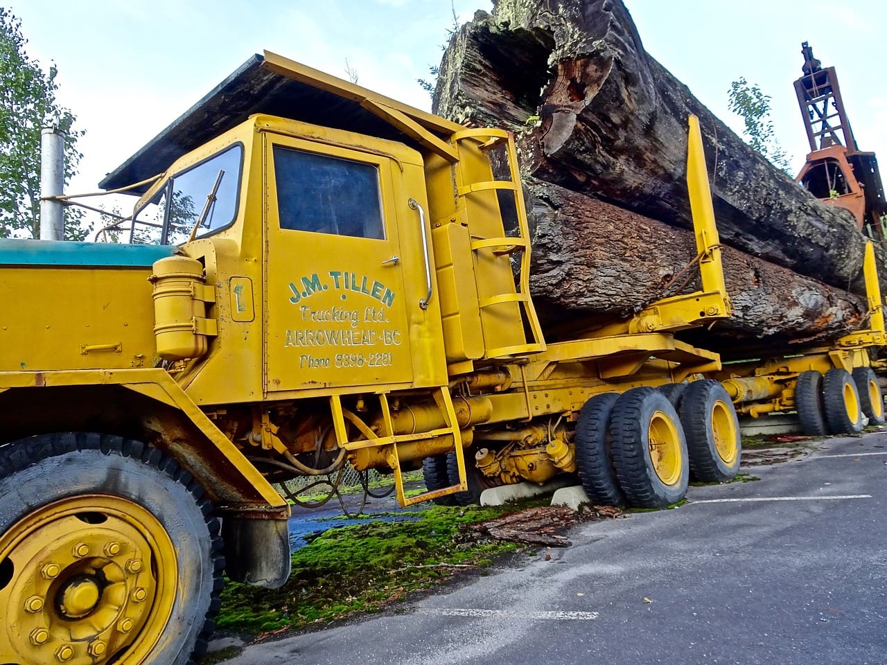 log-truck-1713717_1280